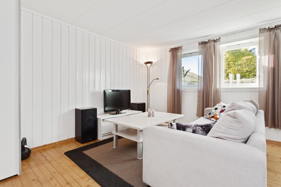 Basement living room