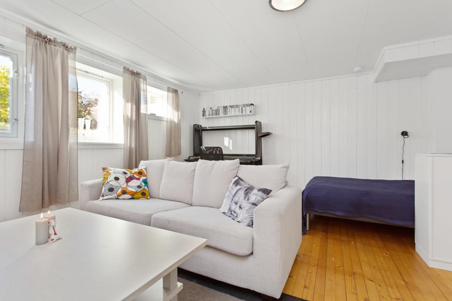 Basement living room