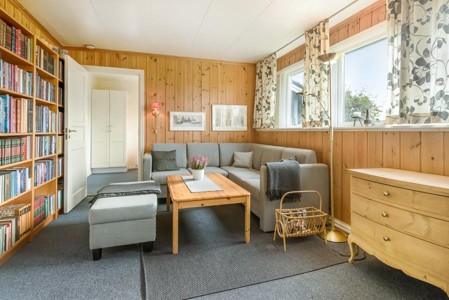 Basement living room