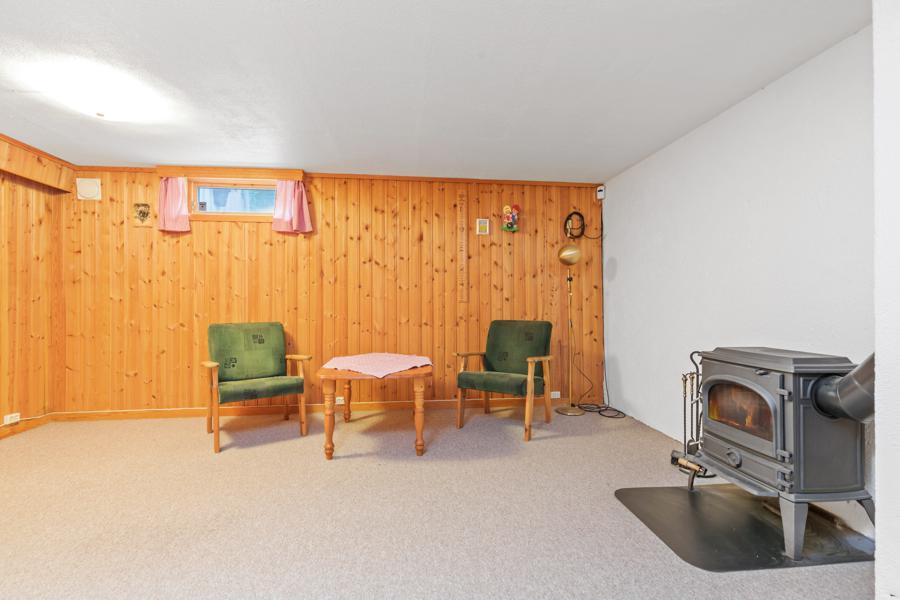 Basement living room