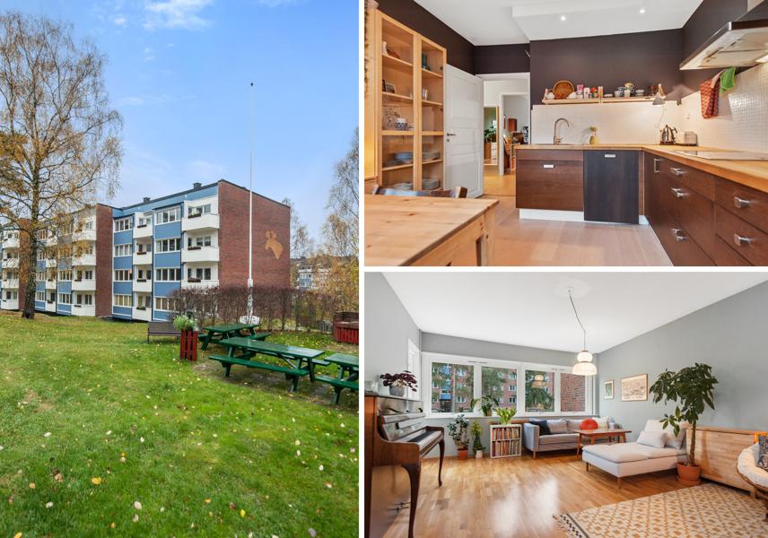 Velkommen til Bølerskogen 1