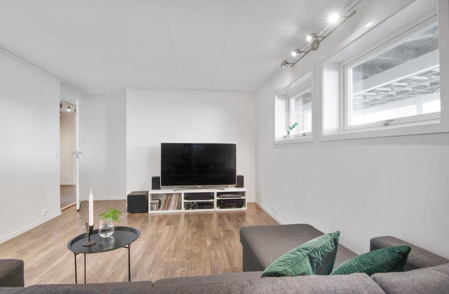 Basement living room