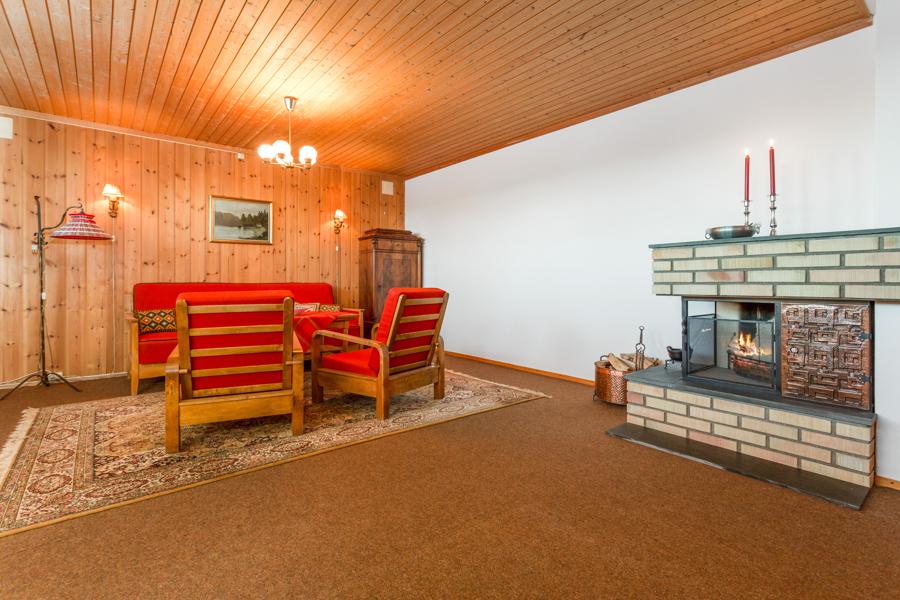 Basement living room