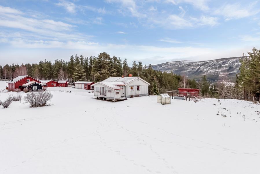 Velkommen til Hårennveien 66