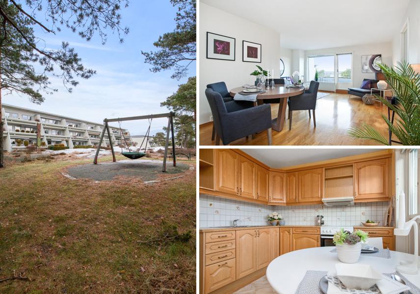 Velkommen til Skogholtet 13