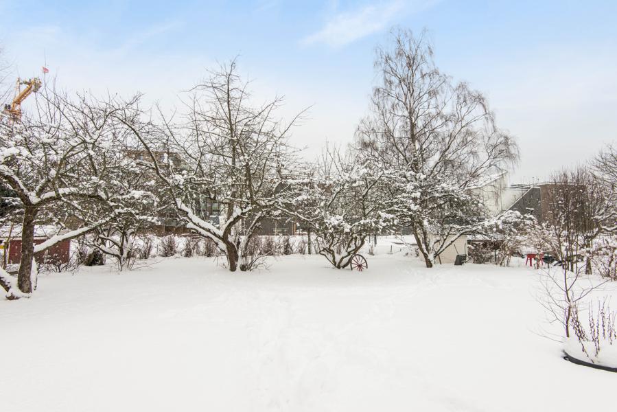 Hage