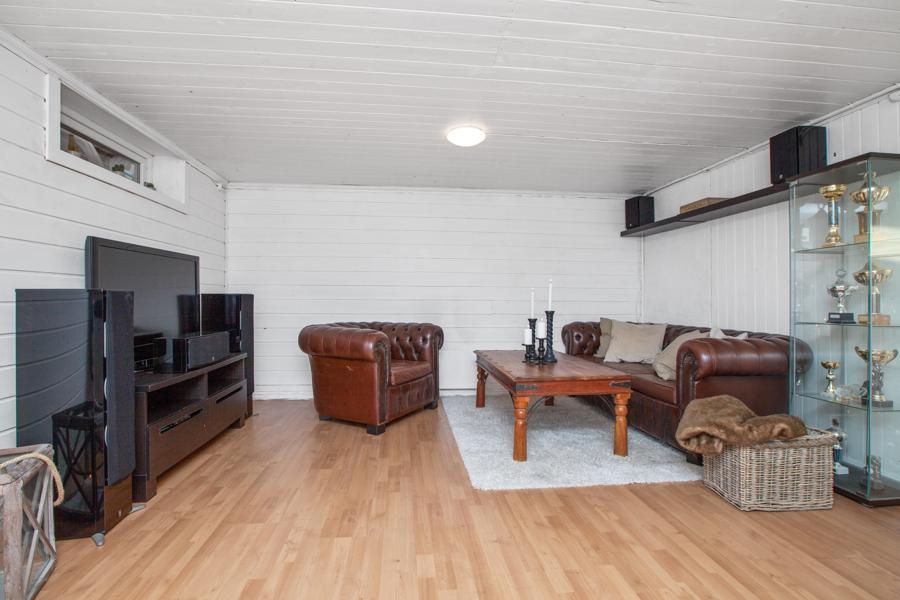 Basement living room