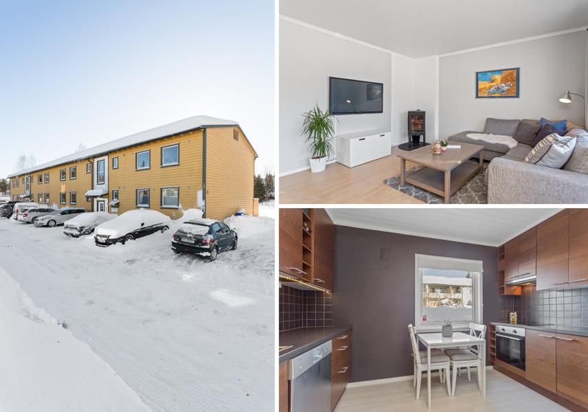 Welcome to Bjørneveien 14A