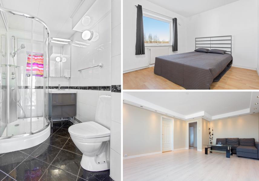 Velkommen til Lindeberglia 26