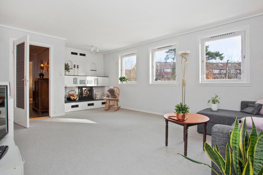 Basement living room