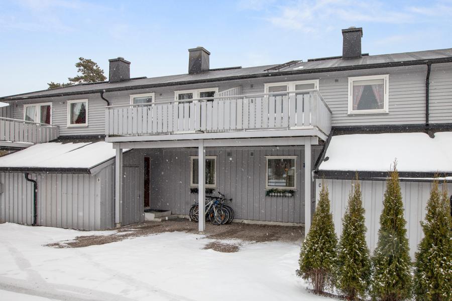 Gang