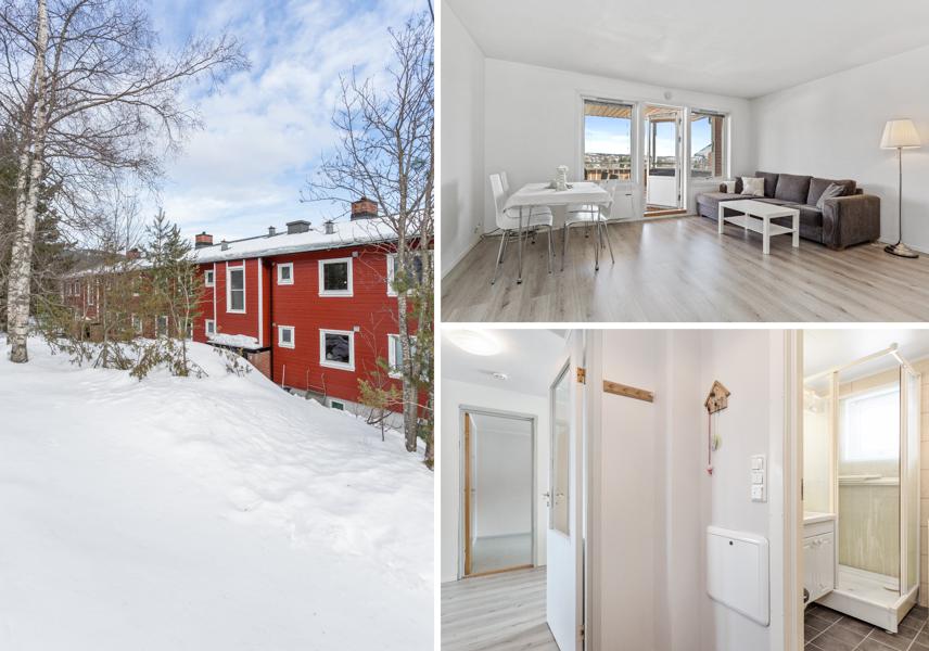 Velkommen til Elgfaret 25B