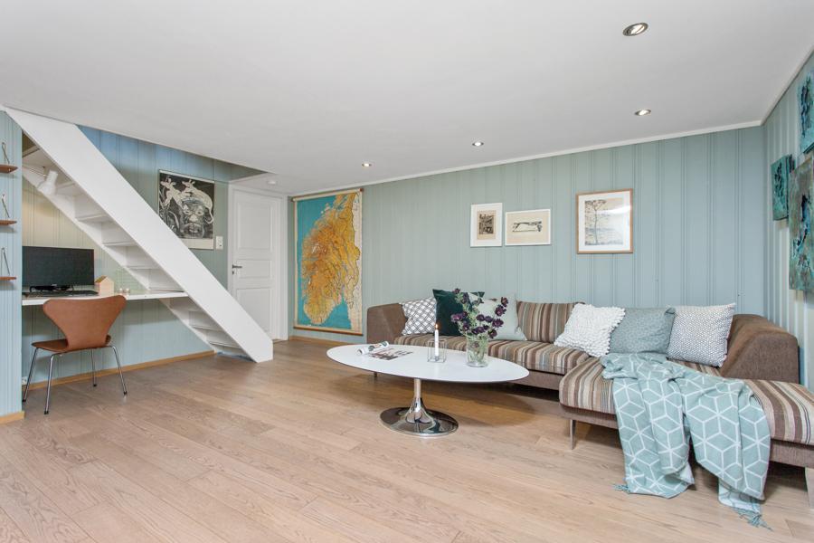 Basement living room