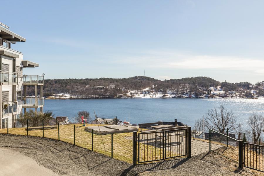 Velkommen til Bellevue 12