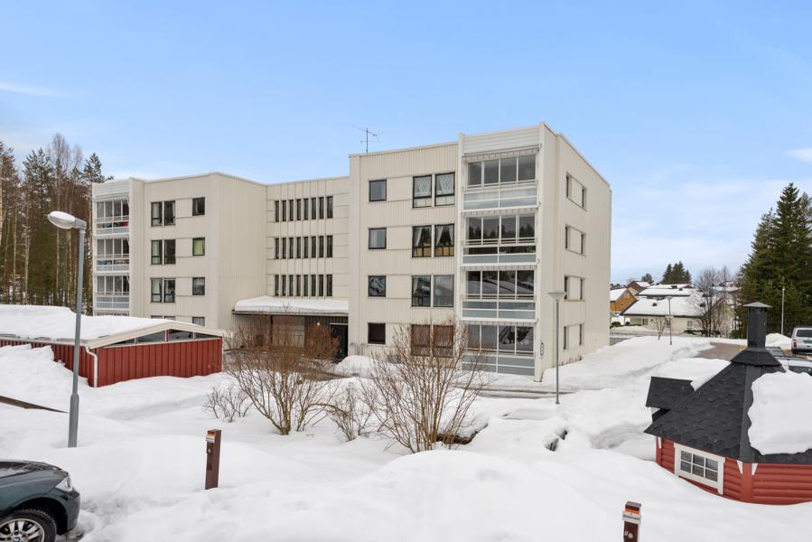 Velkommen til Skogvegen 19