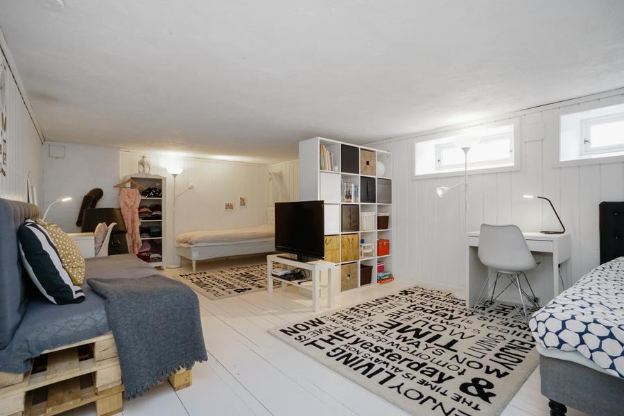 Basement living room