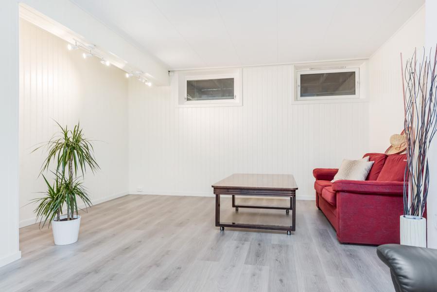 Basement living room