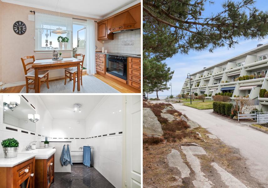 Velkommen til Skogholtet 25