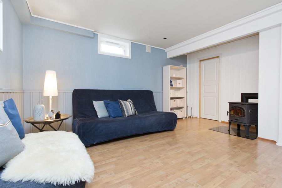 Basement living room
