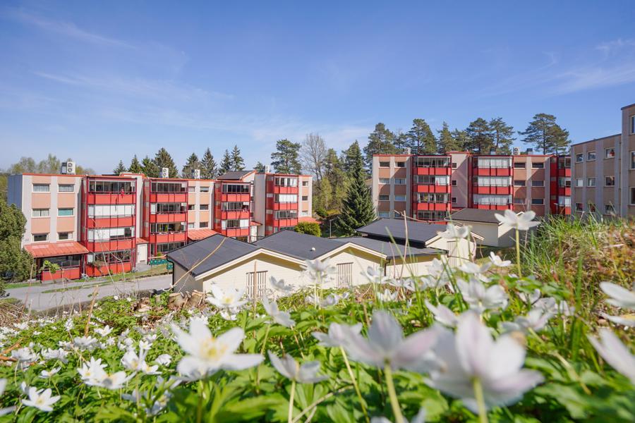 Welcome to Ringkollen 23A
