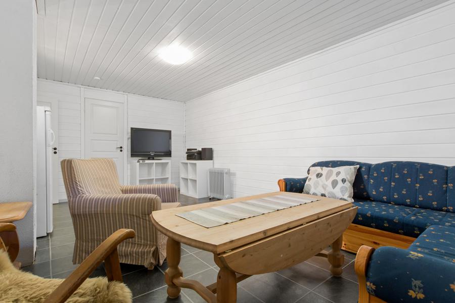Basement living room