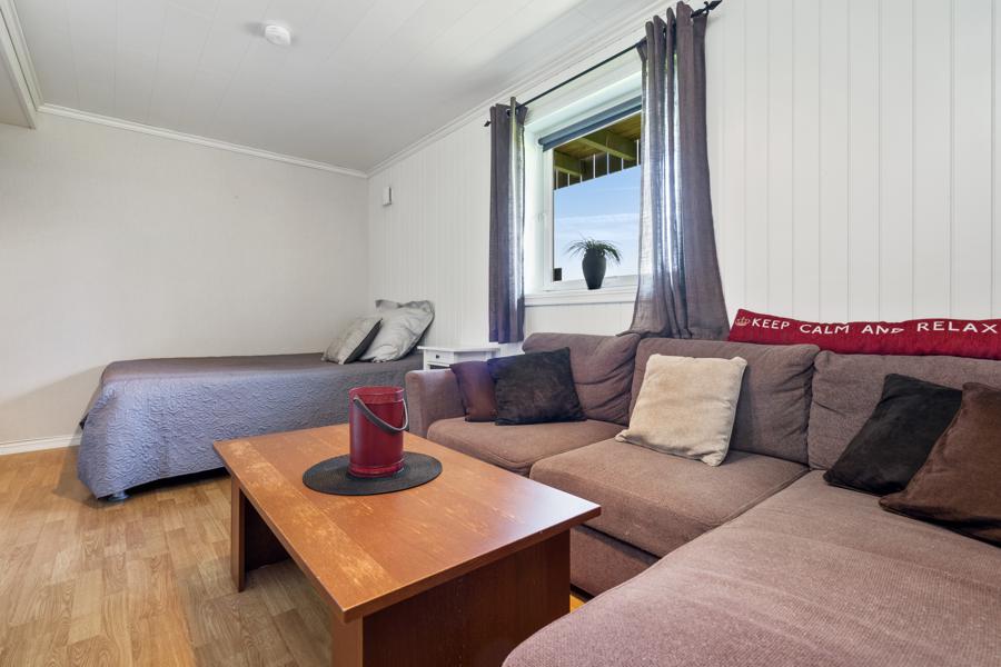 Basement living room