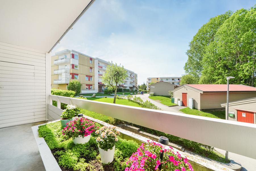 Velkommen til Lofsrudhøgda 209