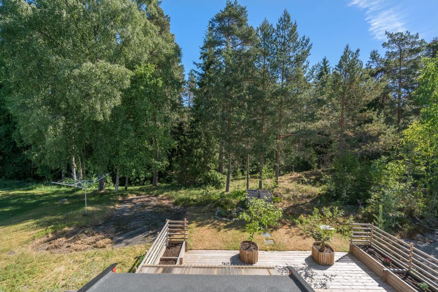 Gang