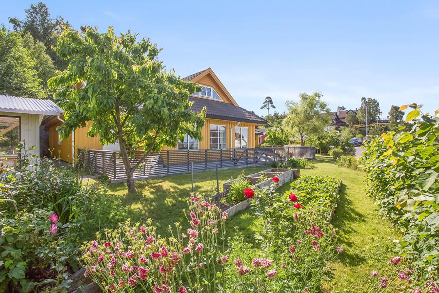 Velkommen til Odderhei terrasse 100