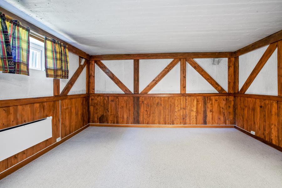 Basement living room
