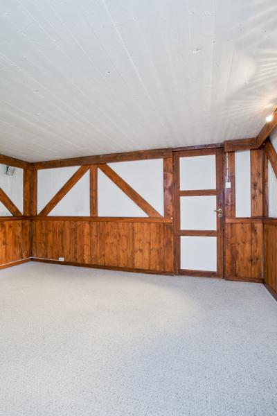 Basement living room