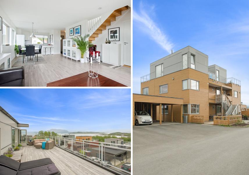 Welcome to Jektholtet 36