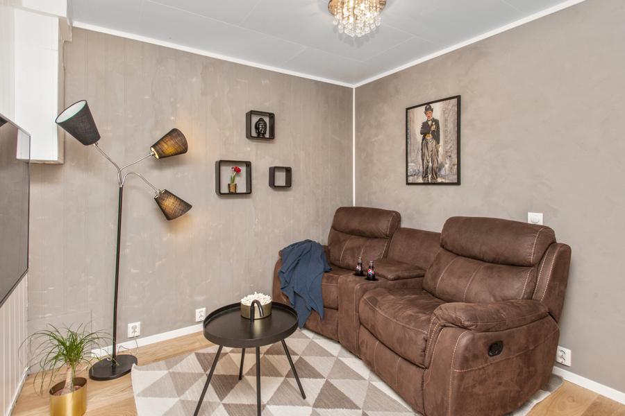 Basement living room