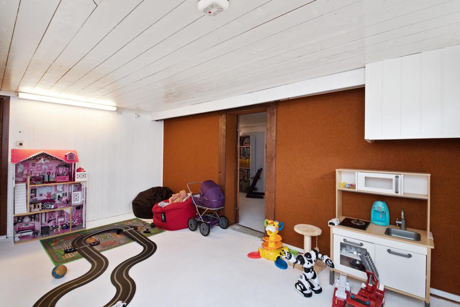 Basement living room