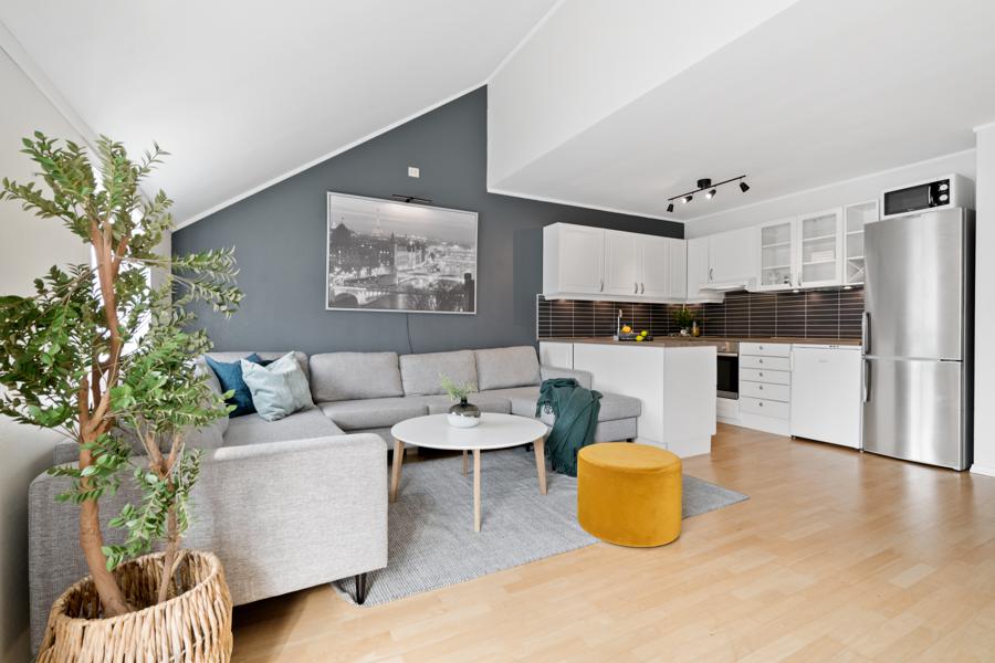 Velkommen til Hansjordnesgata 24