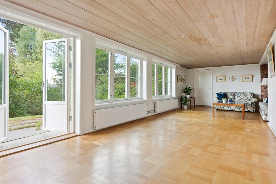 Basement living room