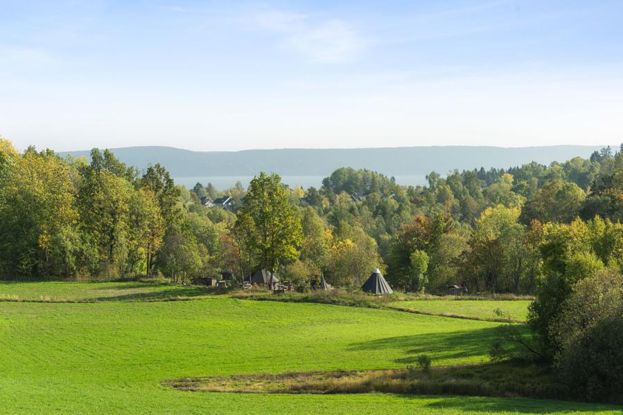 View