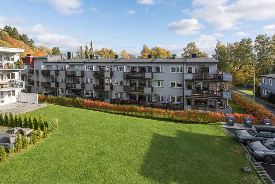 Velkommen til Staupslia 15Q
