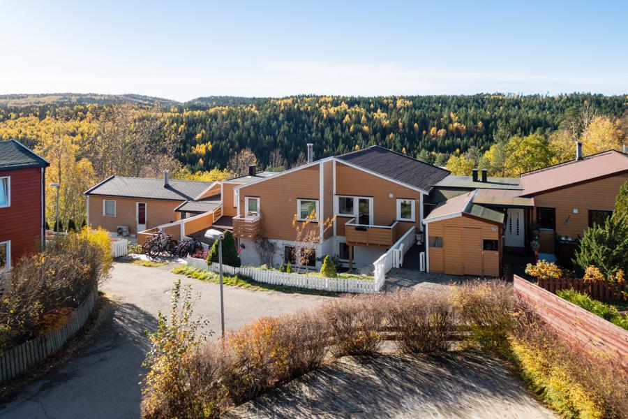 Velkommen til Stenfeltskogen 77 77