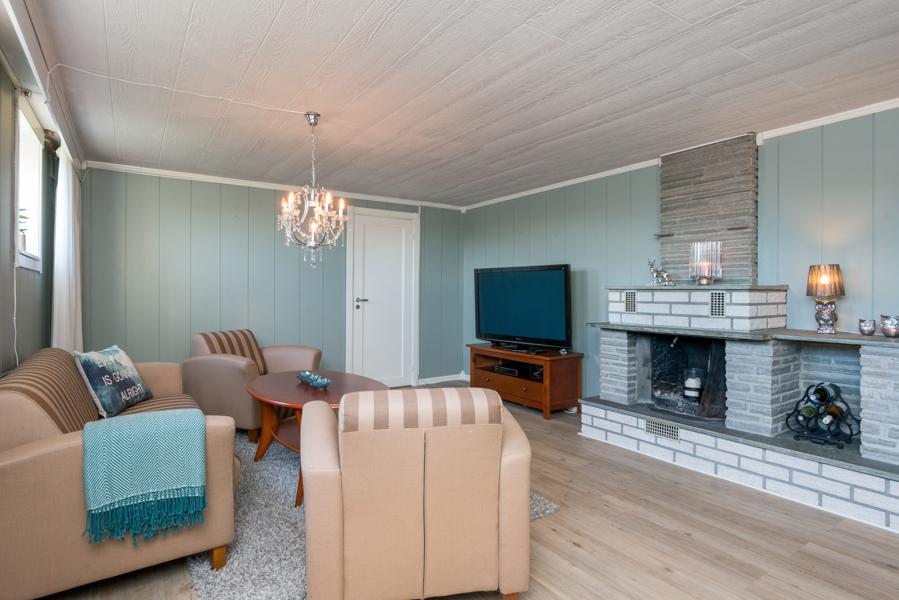 Basement living room