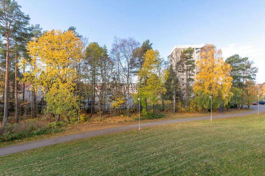Utsikt