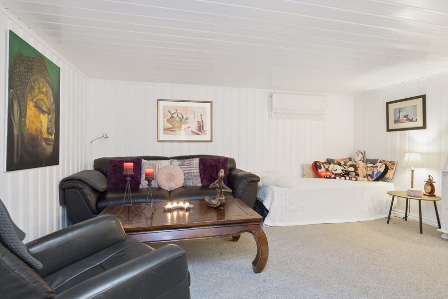 Basement living room