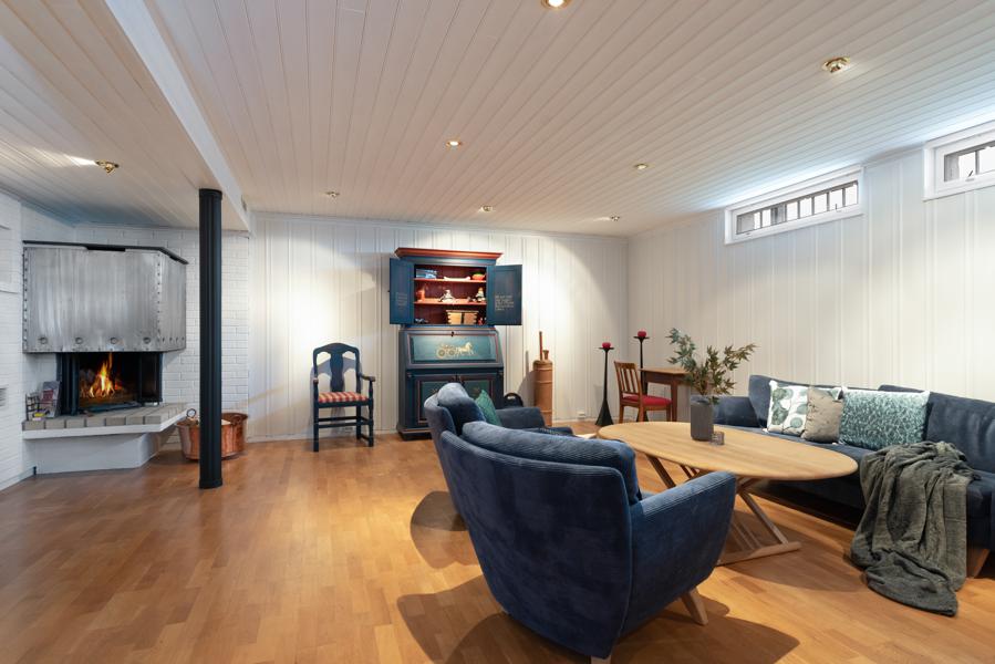 Basement living room