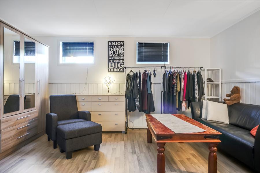 Basement living room