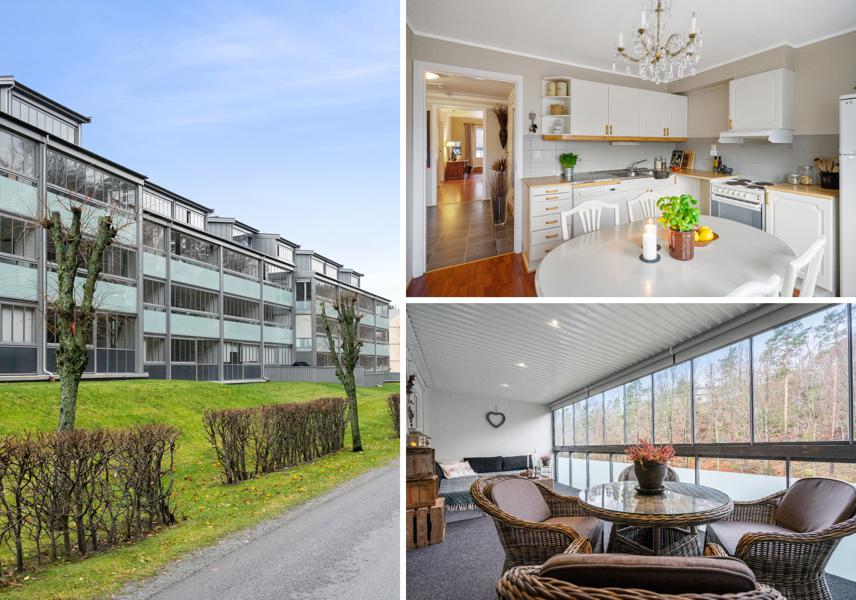 Velkommen til Thor Heyerdahls gate 44