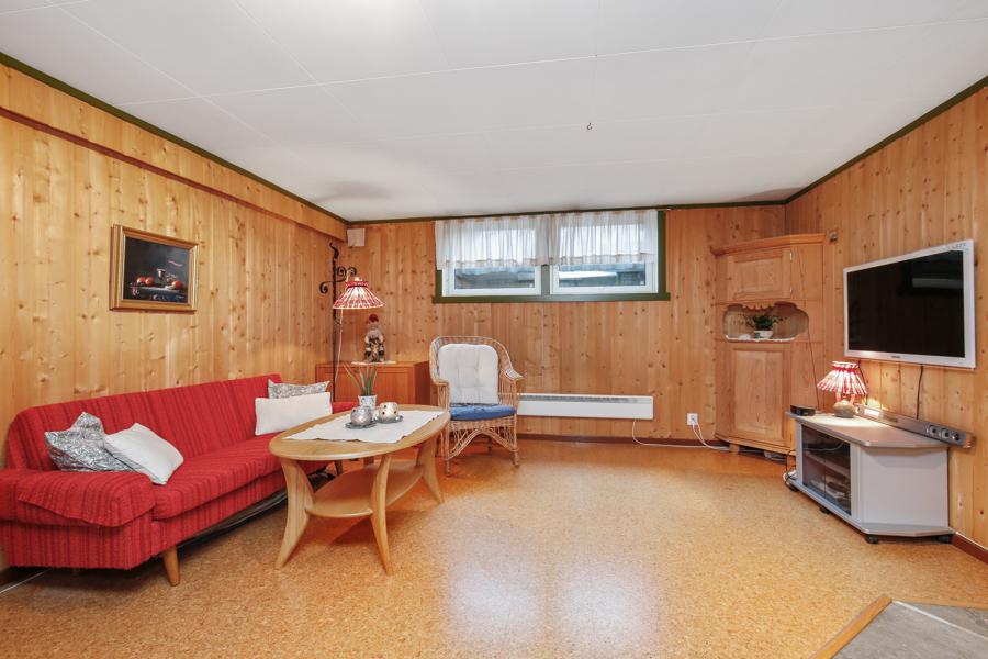 Basement living room