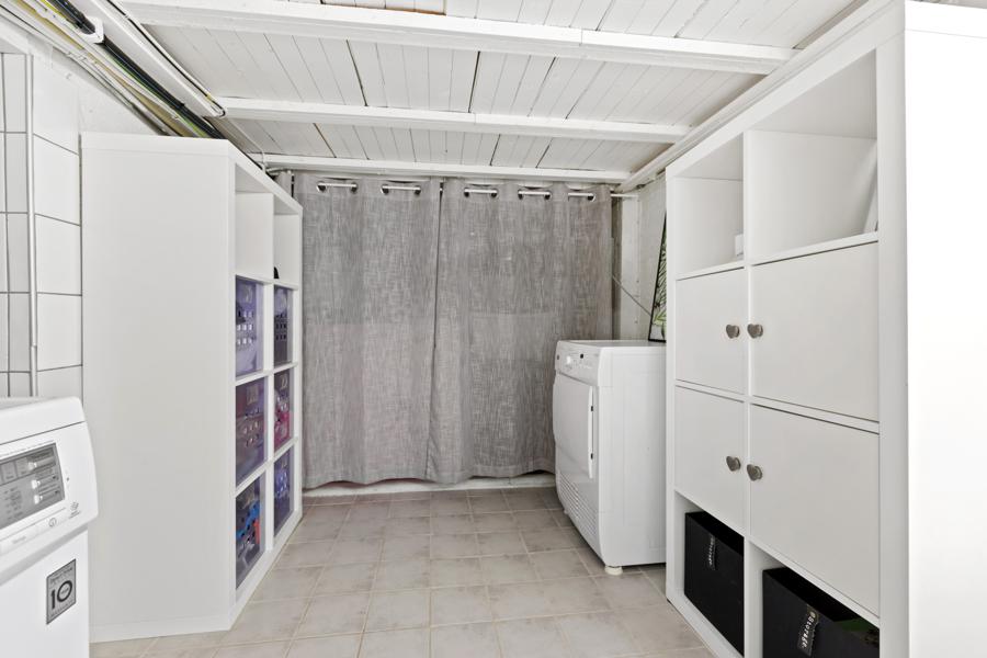 Bod