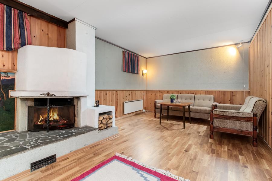 Basement living room