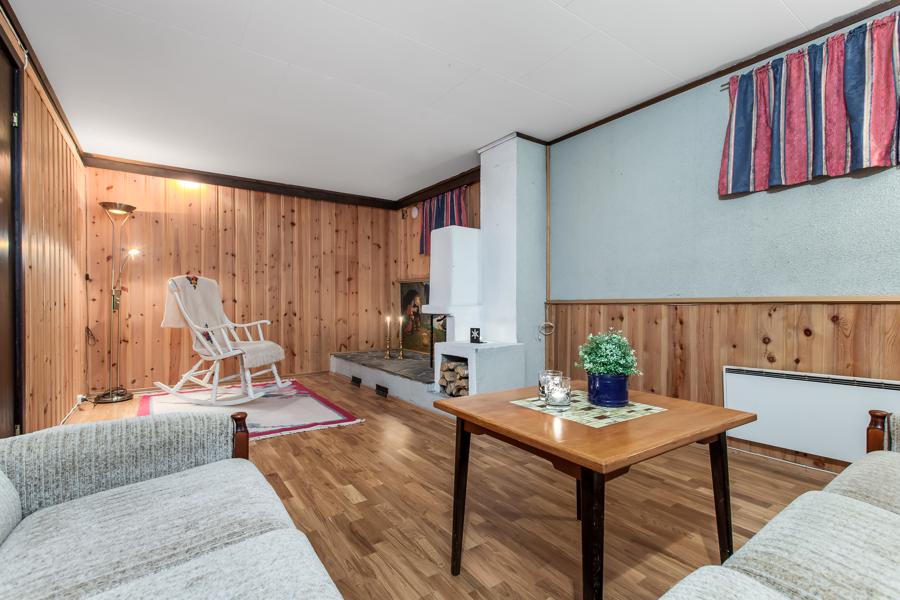 Basement living room