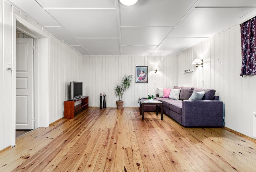 Basement living room